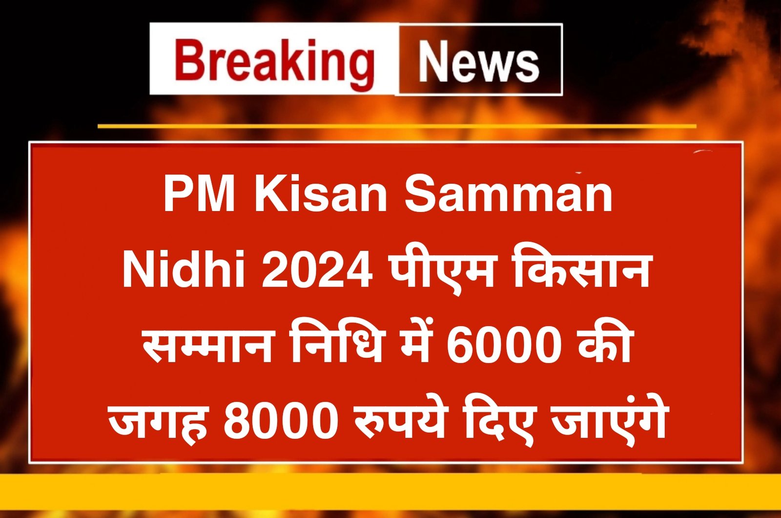 PM Kisan Samman Nidhi 2024 पीएम किसान सम्मान निधि में 6000 की जगह 8000 रुपये दिए जाएंगे